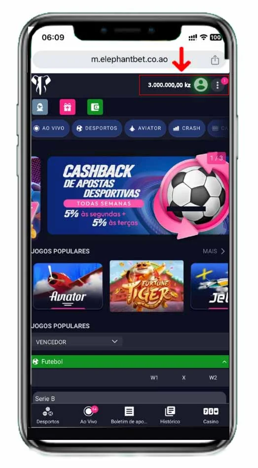 imagem 1 perfil da elephantbet